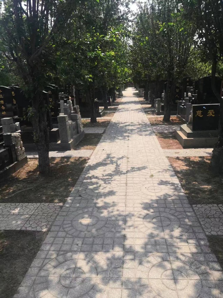 微信图片_20240401111150.jpg