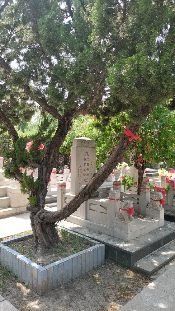 微信图片_20240401111100.jpg