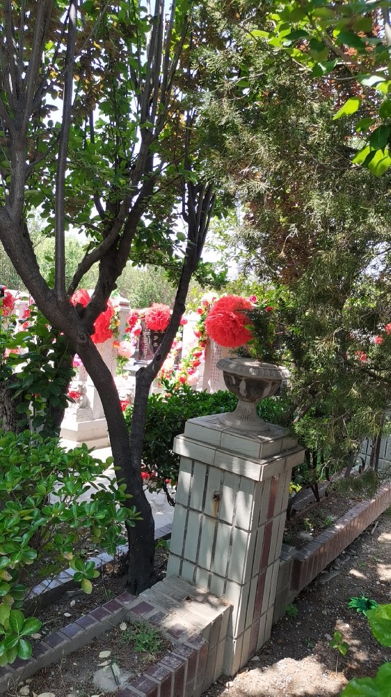 1739756261177747.jpg 微信图片_20240401111104.jpg