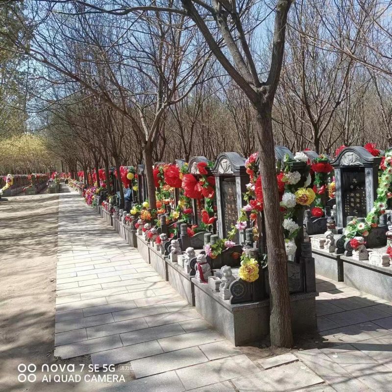 微信图片_20230412165800.jpg