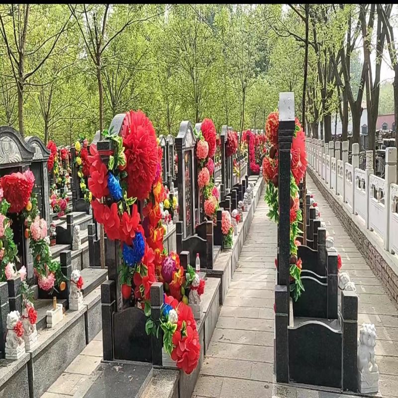 微信图片_20240408112131.jpg