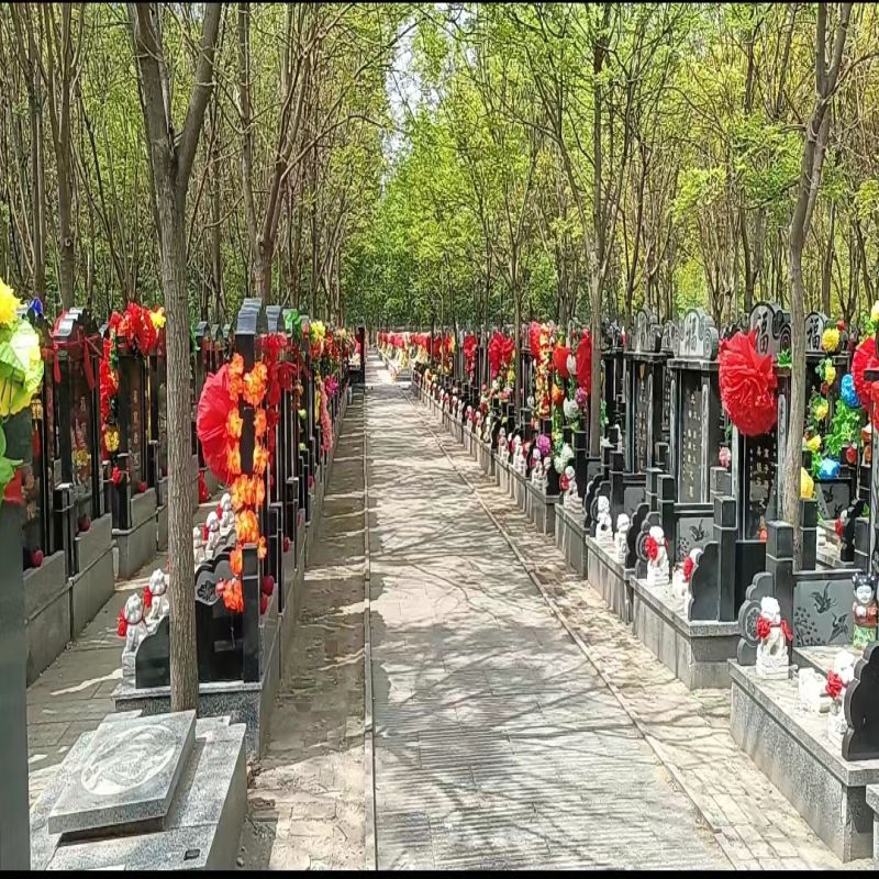 微信图片_20240408112017.jpg