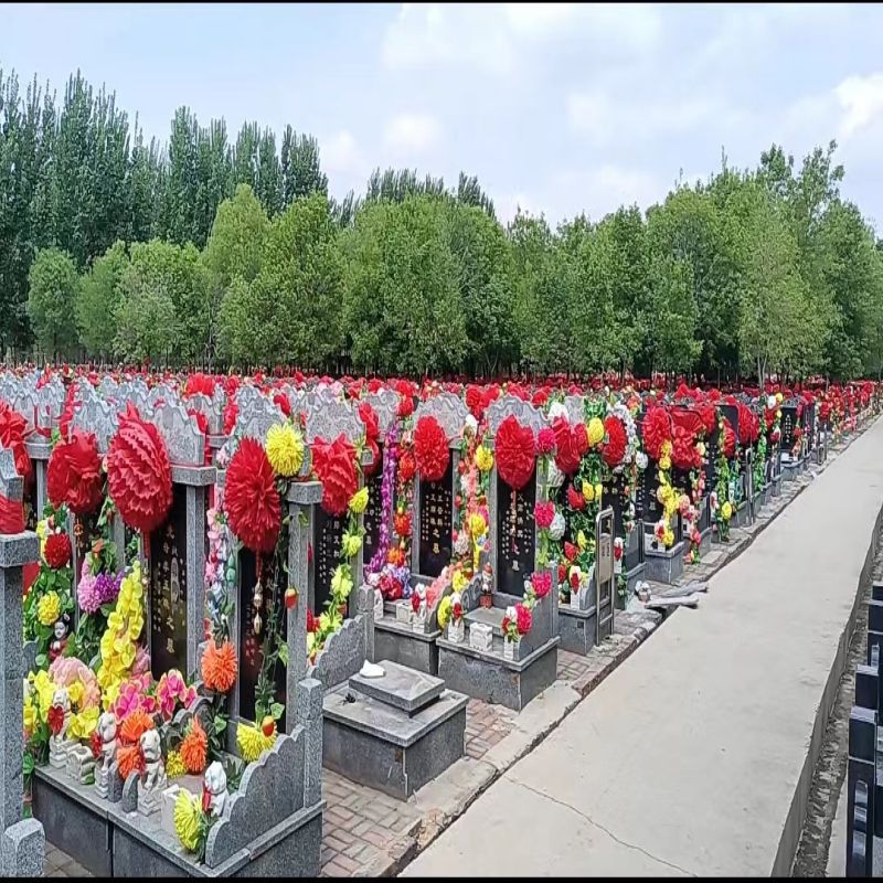 微信图片_20240408111953.jpg