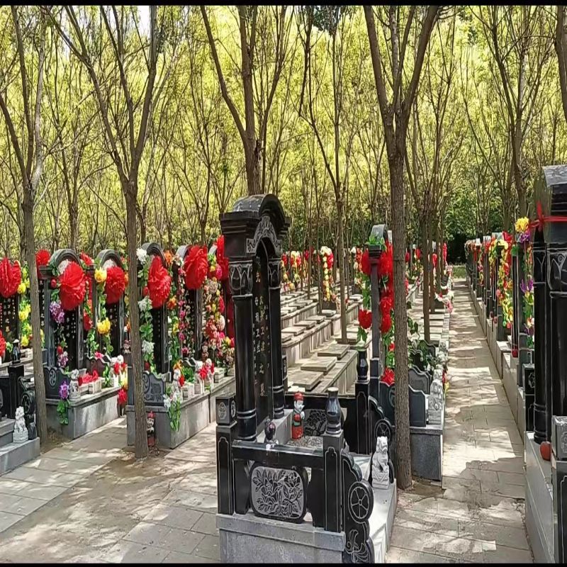 微信图片_20240408112046.jpg