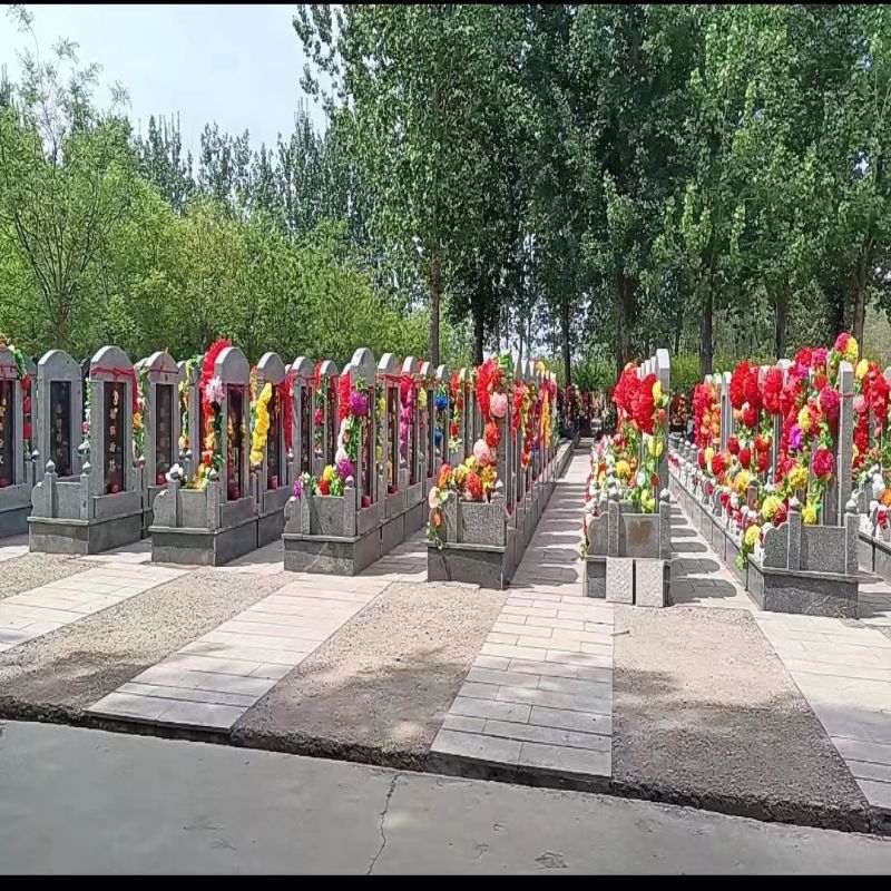微信图片_20240408111942.jpg