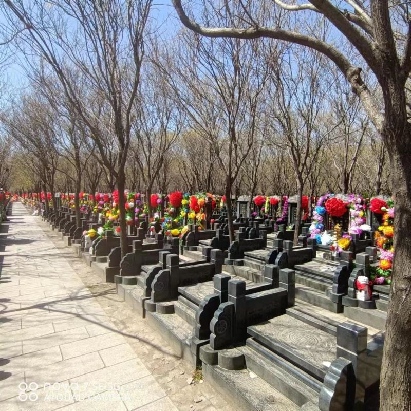1760668478402802.jpg 微信图片_20230412165809.jpg
