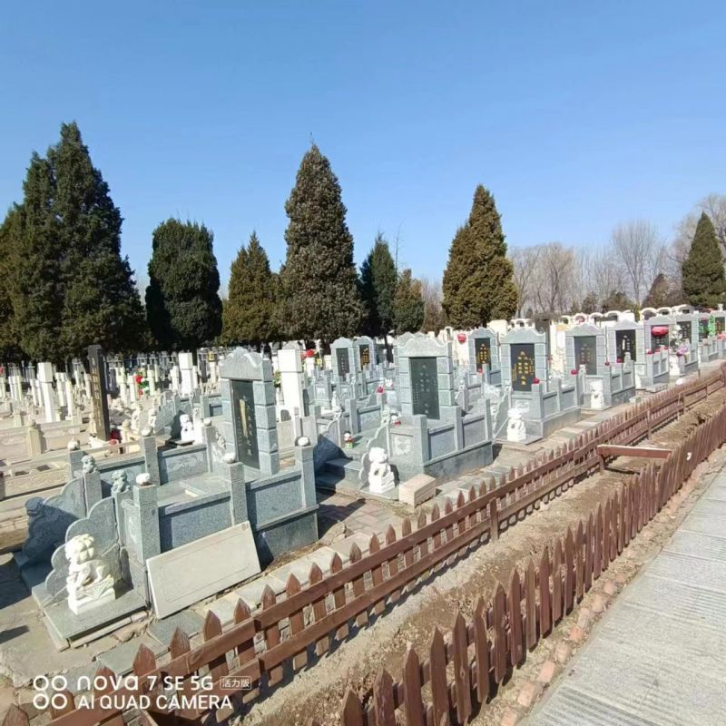 微信图片_20230302160123.jpg